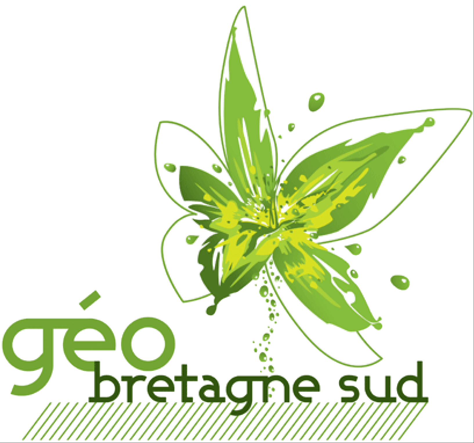 Geo Bretagne Sud